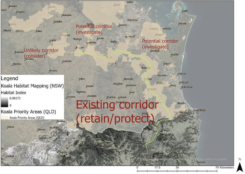 Figure 1: Estimated Koala Corridor in SE Queensland and NE NSW with potential wildlife corridors